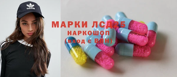 ГАЛЛЮЦИНОГЕННЫЕ ГРИБЫ Корсаков