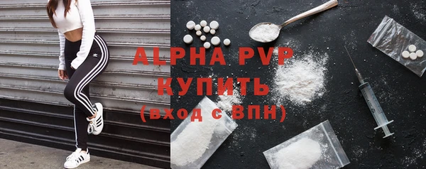 скорость Козловка