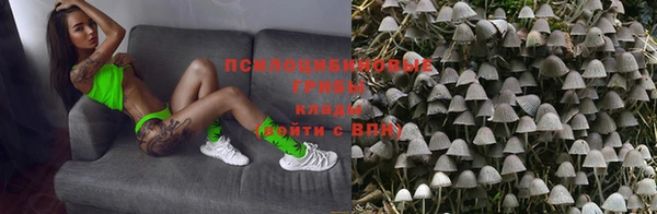 ГАЛЛЮЦИНОГЕННЫЕ ГРИБЫ Корсаков