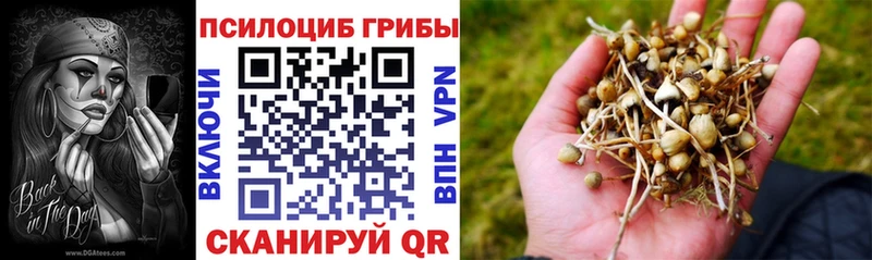 Галлюциногенные грибы мицелий  Купить закладки  Усть-Джегута 